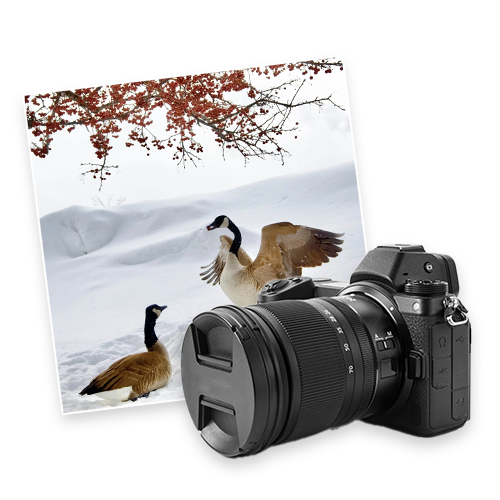 Look, I Got It! by Tianyou